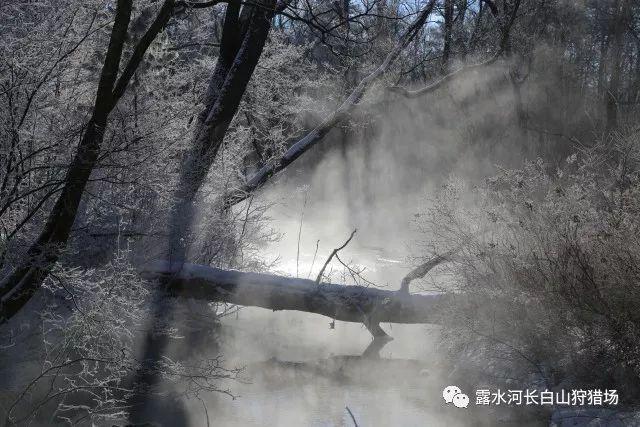 孩子提出了无理的要求，你会不会满足呢？游戏画面