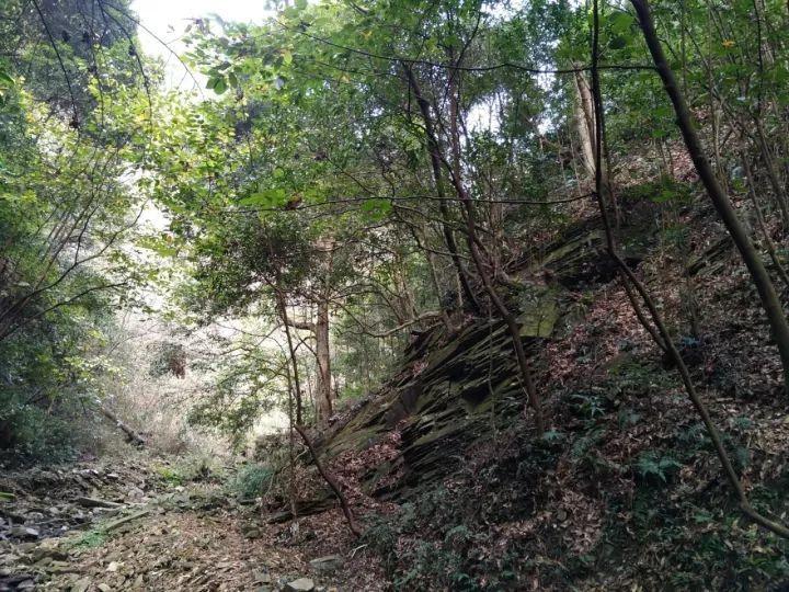 央视春晚各会场首次合练,四地分会场各具特色,现场现龙帽萌娃