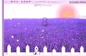 救援受困的狼人