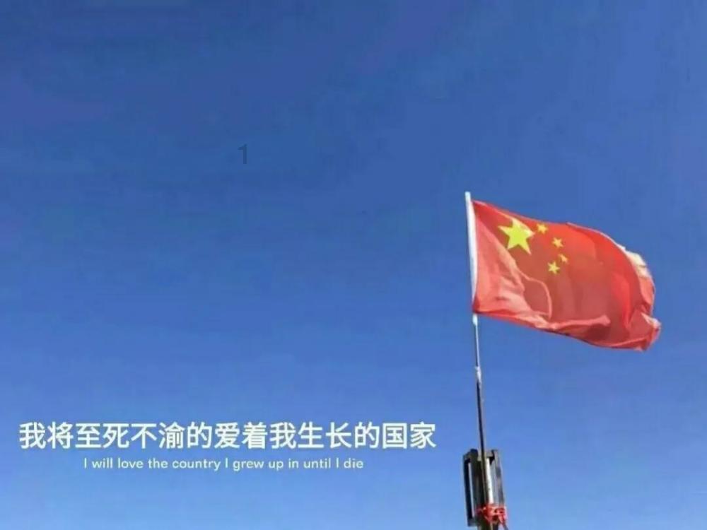 臭屁虫吃吃吃