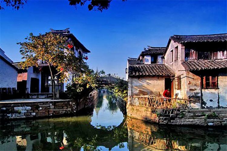 雨雪天气来临 郑州为黄河滩的鸟儿送上“爱心餐”